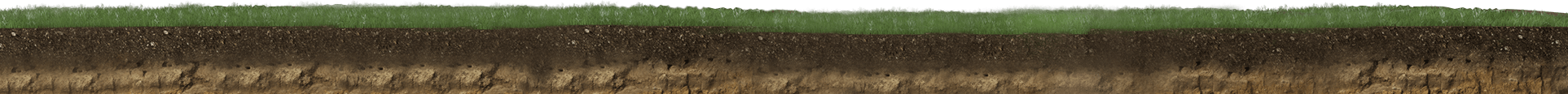 land